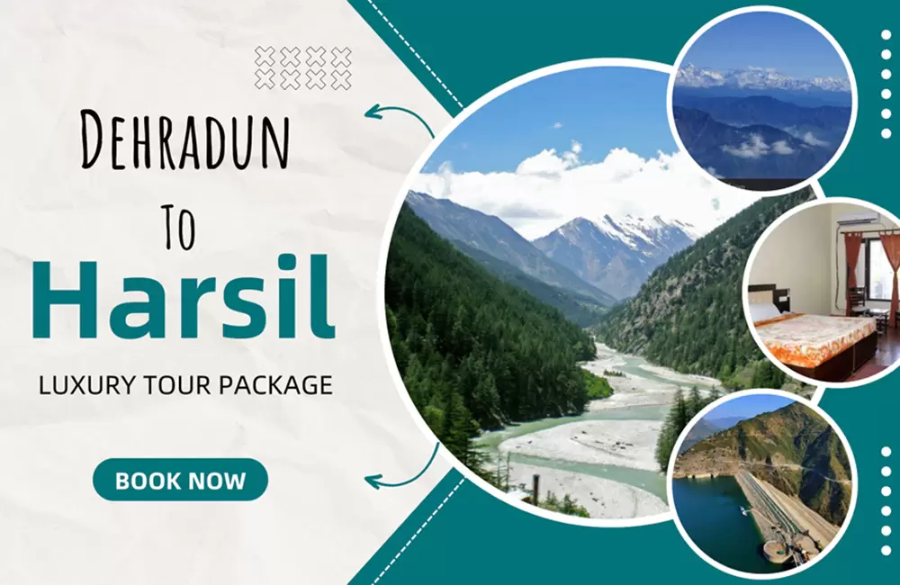 Custom Tour Packages